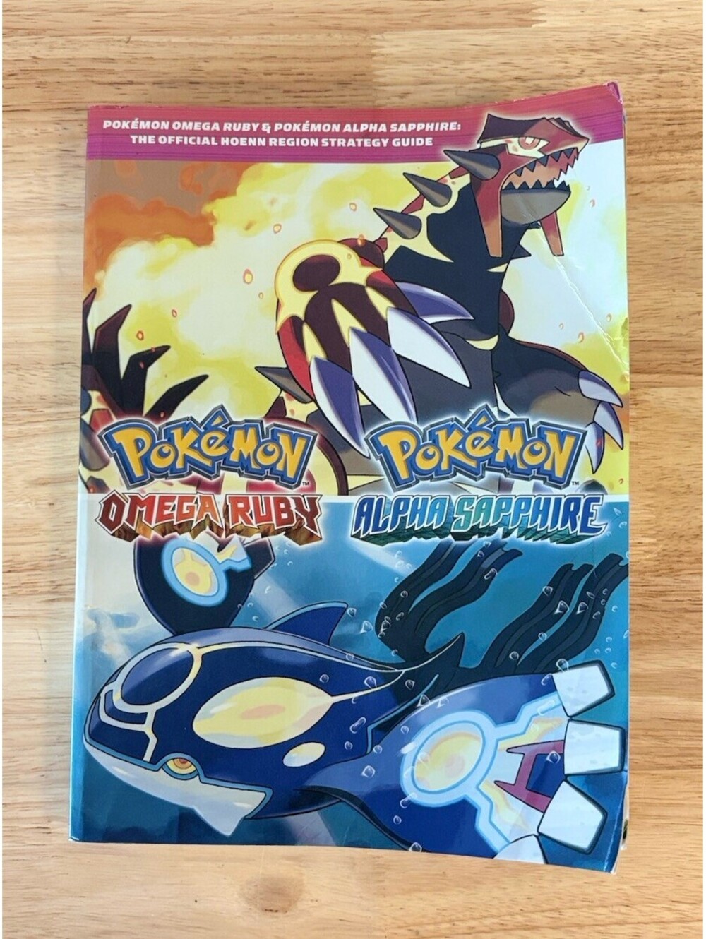 Pokémon Omega Ruby & Pokémon Alpha Sapphire Strategy Guide MISSING MAP